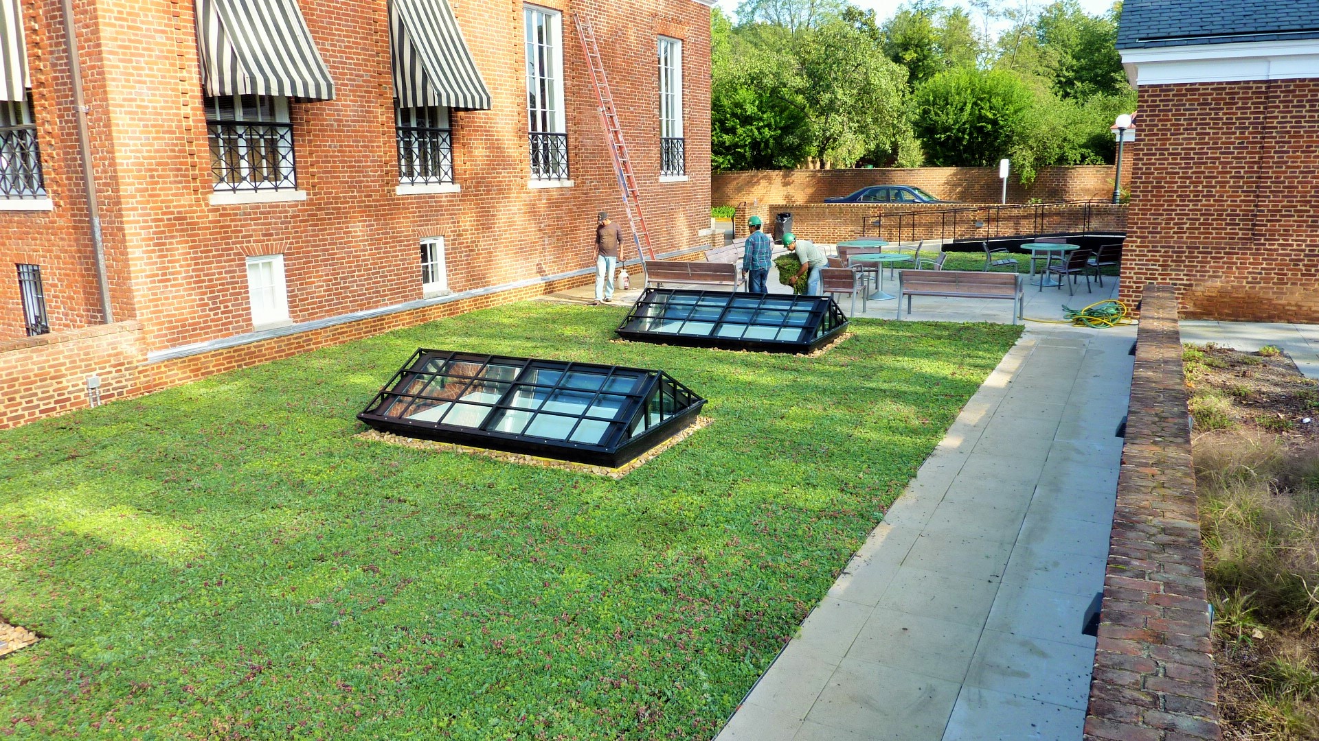 Techo vegetal del edificio Garrett Hall de la UVA